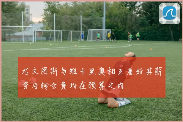 尤文图斯与维卡里奥相互看好其薪资与转会费均在预算之内