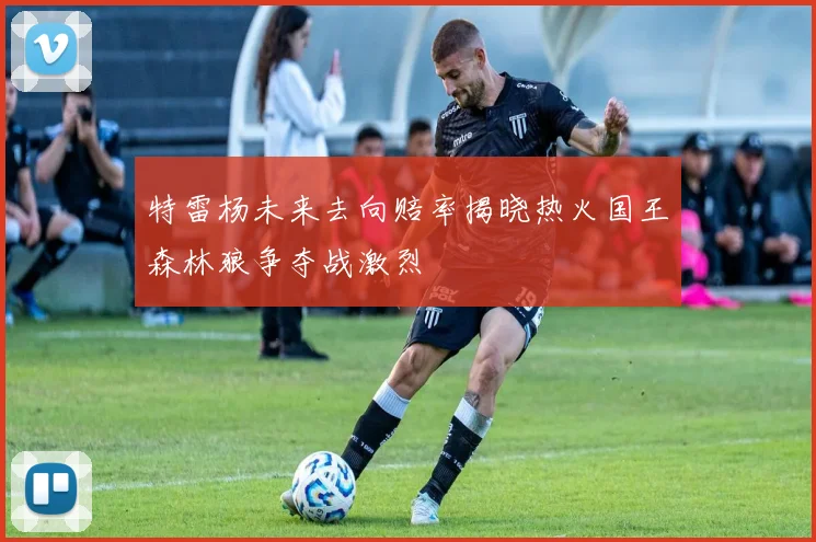 特雷杨未来去向赔率揭晓热火国王森林狼争夺战激烈
