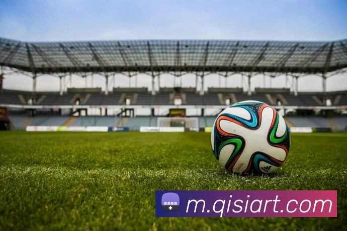 九游j9备用官网APP 高清赛事图